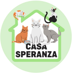 CARTA REGALO CASA SPERANZA