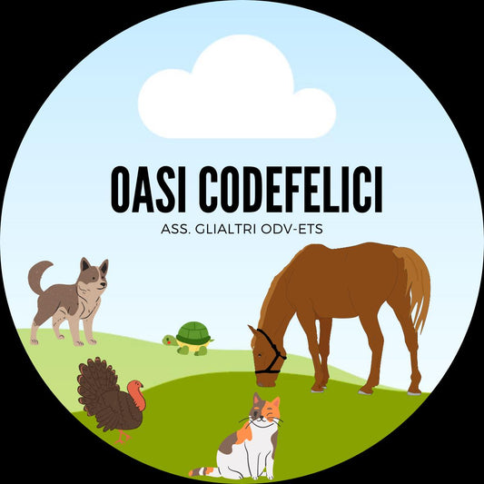 CARTA REGALO OASI CODE FELICI